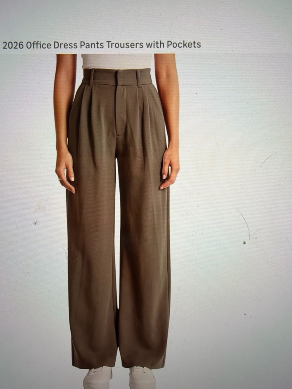 Wide-Leg Office Dress Pants with Pockets - Brown
